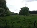 Hute- und Weideflächen am Ahne-Oberlauf bei der Kastanienallee (⊙51.3204166666679.3566666666667)