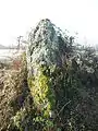 Menhir La Pierre-du-Fau