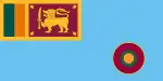 Flagge der Luftstreitkräfte