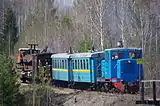 Zug der Waldbahn