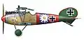 Ein von Paul Bäumer in der Jasta 5 geflogener Albatros D.V