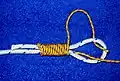 Albrightknoten