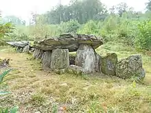 Allée couverte von Loch-ar-Ronfl