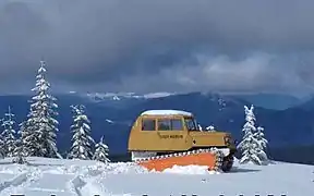 Modell 323 mit nur zwei Ketten
