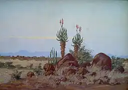 Aloe-Hügel(Ölgemälde)