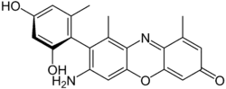 α-Amino-orcein