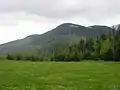 Blick auf das Alpl vom Lärchbaumriegel