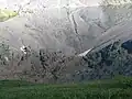 Äplisee, mit Älpliseehorn als Reflexion