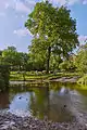 Alte Berkelfurt am Oberlauf in Billerbeck