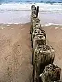 Alte Buhnen auf Sylt.