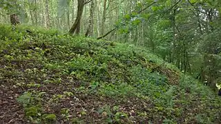 stark abfallender Wall zur Talseite, Nordwestseite (Richtung Beerbach)