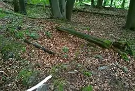innerer Burgbereich, Turmrest