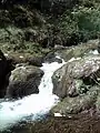 Der Alva Burn vor Alva