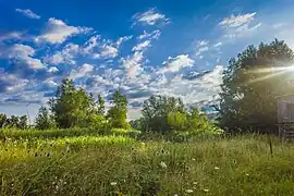 Am Weg aus Grafenrheinfeld Richtung Hirtenbach