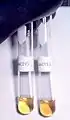 Americium(IV) und (VI)in 2&nbsp;M Na2CO3-Lösung