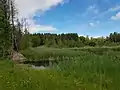 Amphibienlaichgebiet von nationaler Bedeutung im Kanton Waadt, Schweiz.