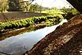 Bachverlauf oberhalb der Untermühle