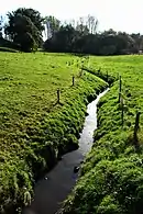 Bachverlauf am Geuchter Hof