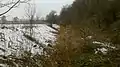 Zufluss An der Planie kurz vor der Mündung in den Gröbenbach