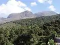 Anamudiberge in den Kardamombergen/Kerala