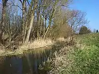 Vegetationshindernis