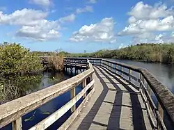 Holzsteg auf den Anhinga Trail