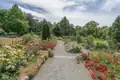 Rosarium