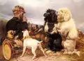 Die Hunde