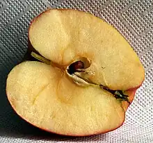 Kerngehäuse