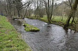 Die Abtrennung des Flößgrabens (links) bei Georgenthal