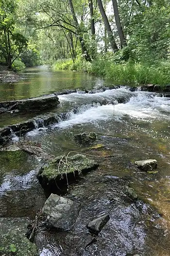 Grenzdolomitklippen im Apfelstädt-Fluss bei Wandersleben/Thüringen