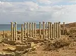 Apollonia