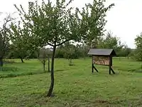 Streuobstwiese mit Nistwand für Insekten