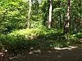 Station 3: Zerstörter Grabhügel der älteren Bronzezeit Lage: 53°&nbsp;26′&nbsp;27,4″&nbsp;N, 9°&nbsp;51′&nbsp;2,9″&nbsp;O53.440959.850817