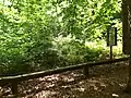 Station 10: Bronzezeitlicher Grabhügel Lage: 53°&nbsp;26′&nbsp;38,5″&nbsp;N, 9°&nbsp;51′&nbsp;33,4″&nbsp;O53.4440179.859267