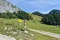 Arlingalm