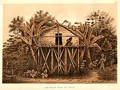 Arfakisches Haus in Andai (Neuguinea)