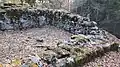 Burgruine Aris ob Kien