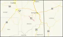 Karte der Arizona State Route 273