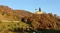 Burg Birseck mit Rebhängen