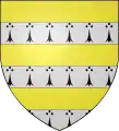 fascé d'or et d'hermine. (Das falsche Wappen).