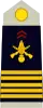 Colonel