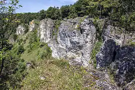 Felswände mit Spaltenhöhlen