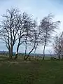 Arnsfeld Fuchshöhe