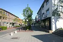 Foto einer Straße mit einem Gehweg und Bäumen an der Seite. An der Straße liegen mehrere Geschäfte.