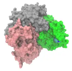 Asparaginase 2 (Escherichia coli K12)