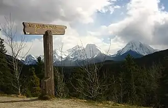 Der Athabasca Pass