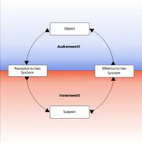 Funktionskreis mit Einbindung des „Subjekts“ in die psychophysiologischen Abläufe. Die Abbildungen „Wechselbeziehungen“ bis „Situationskreis“ sind durch dieses gemeinsame Element als „verbunden“ zu denken.