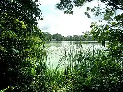 Harburger Stadtpark