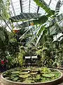 Zentrales Wasserbecken im Tropenhaus